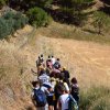 Area Archeologica Nataralistica Castello di Calatamauro &raquo; Un Castello di Ri-scoprire