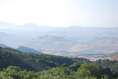 boscodicalatmauro1500