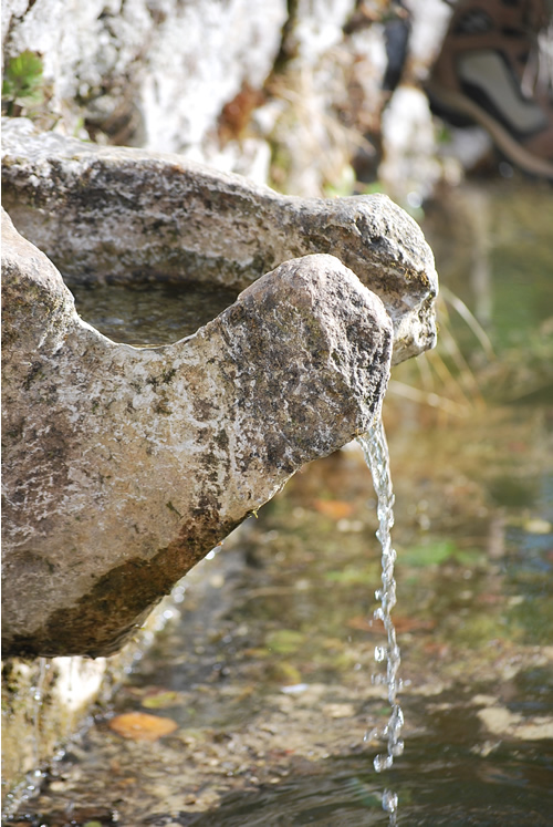 boscodicalatmauro3500